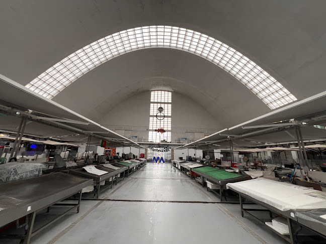 R. França Júnior, 4450-135 Matosinhos