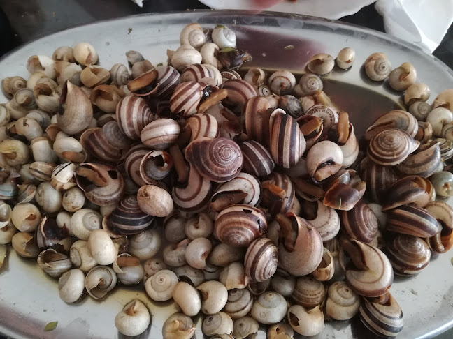 Urbanização Fazenda Grande, Lote P4, Loja 3, Mexilhoeira da Carregação, 8400-141 Lagoa