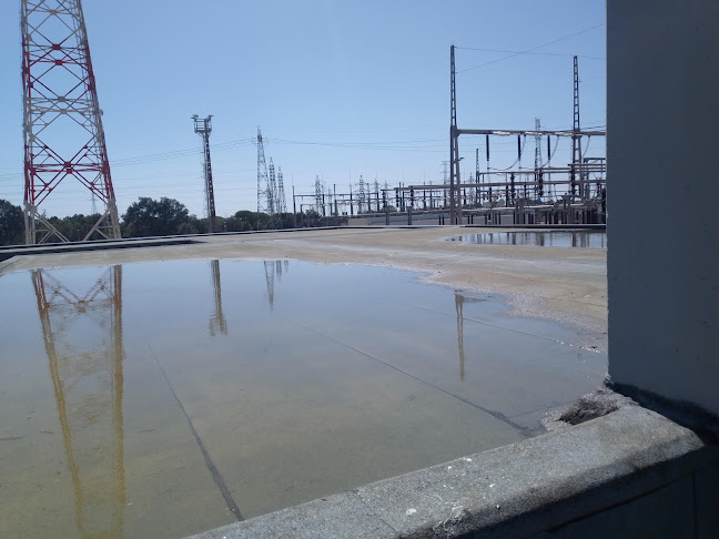 Carapinha - Santiago do Cacém