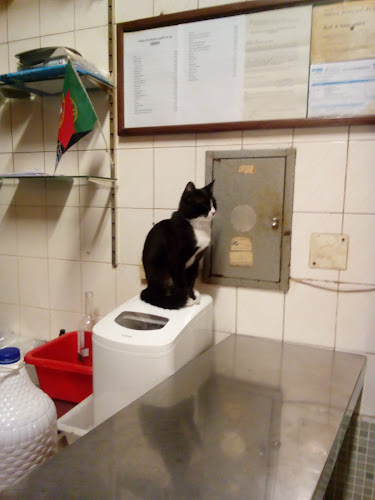 Comentarii opinii despre Café Emigrante