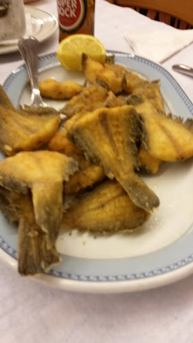 Comentarii opinii despre José de Matos