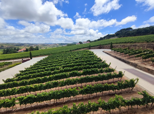 Comentarii opinii despre Sal na Adega - AdegaMãe