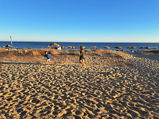 Trópico Beach Bar - Gastronomia e hotelaria