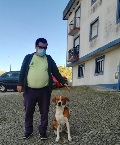 Café do Vale - Grainho