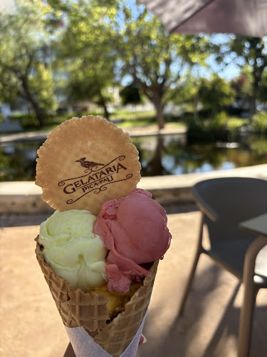 Comentarii opinii despre Gelataria Pica-pau