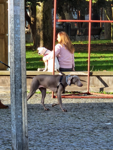 Comentarii opinii despre Mercado Do Chá