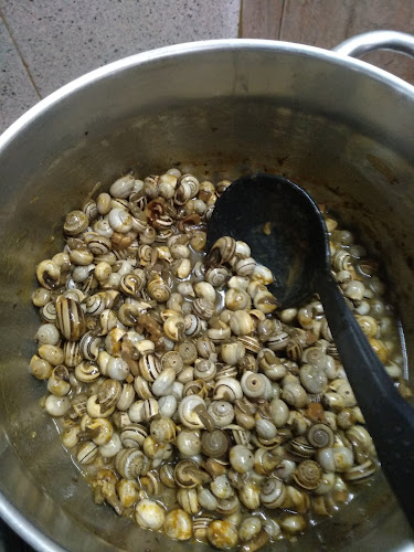 Av. Manuel Pinto de Azevedo 158, 4460-282 Sra. da Hora