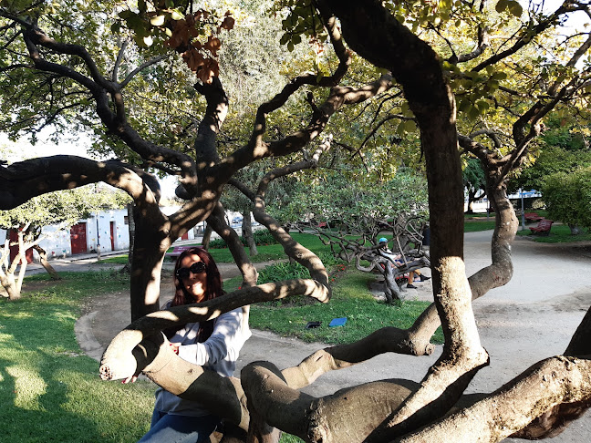 R. Camilo Castelo Branco 43, 2830-302 Barreiro