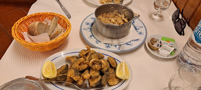 Comentarii opinii despre José de Matos