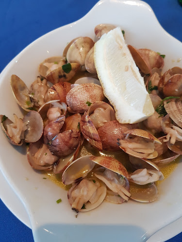 Comentarii opinii despre A Vela / Associação Regional de Vela do Centro