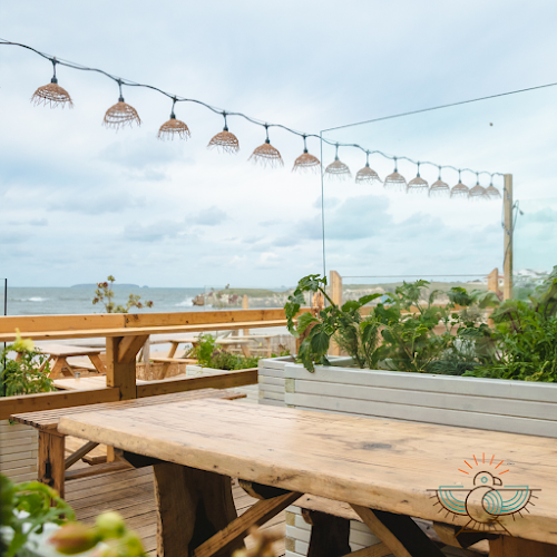 Tribo da Praia - Bar da Praia