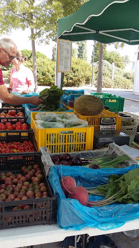 Mercado Biológico Agrobio - Parque das Nações