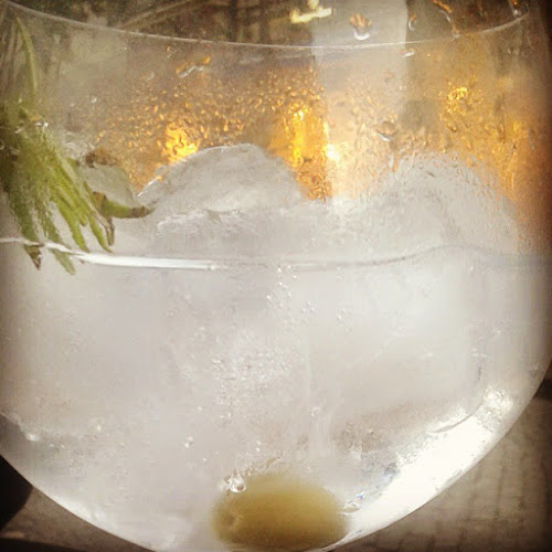 Comentarii opinii despre The Gin House