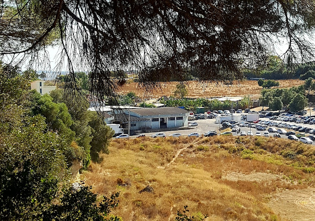 Opinii despre Mercado Municipal Abastecedor de Almada în Almada - Gastronomia e hotelaria