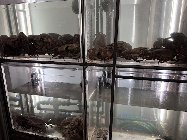 Comentarii opinii despre Ostras & Coisas