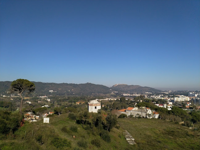 Comentarii opinii despre Panorâmico