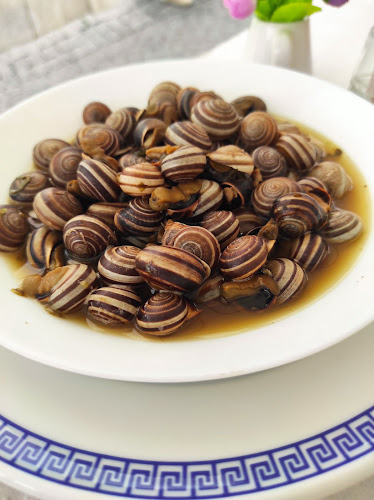 Comentarii opinii despre Obelix II