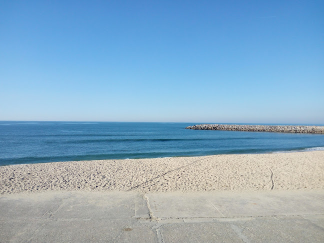 R. 2 647, 4500-259 Espinho