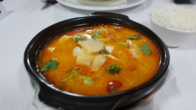 PEACE PLANET RESTAURANT & BAR - Albufeira