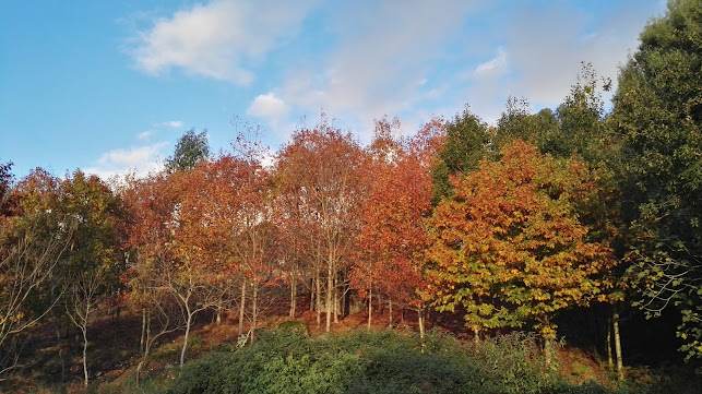 Opinii despre Café Restaurante Regalo în Trofa - Gastronomia e hotelaria