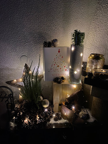 Comentarii opinii despre O Solar