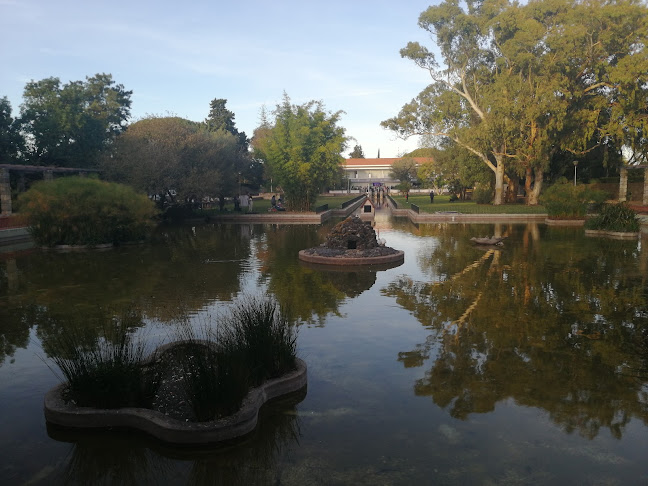 Restaurante Montes Claros