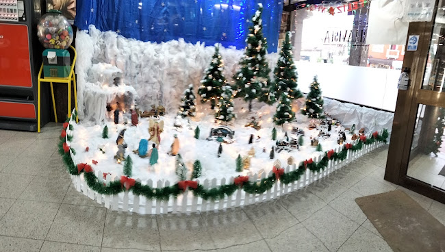 Bela Vista - Vale de Cambra