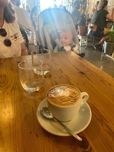 Comentarii opinii despre Fauna & Flora