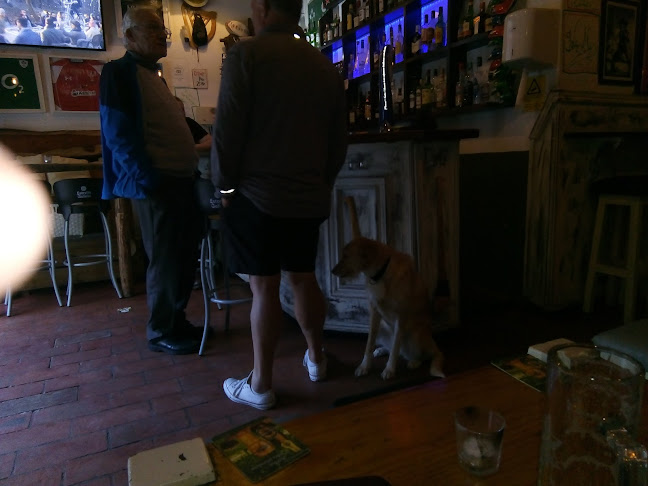 Comentarii opinii despre Leinster House