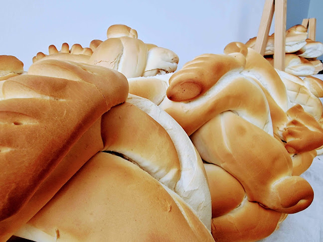 Comentarii opinii despre Casa Pardal-Porto