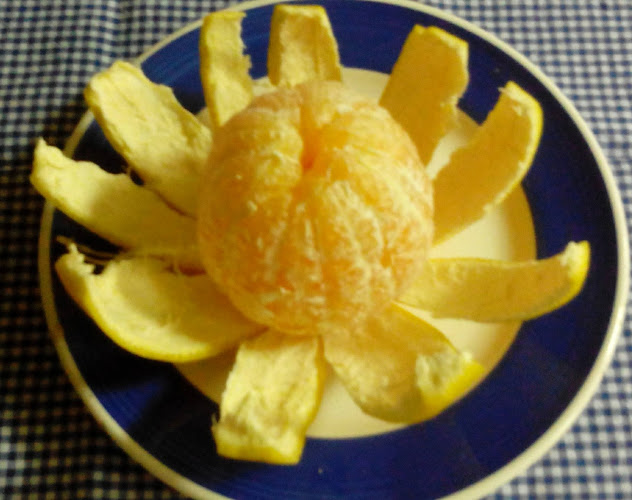 sitio das necessidades fração W, 432, Viana do Castelo