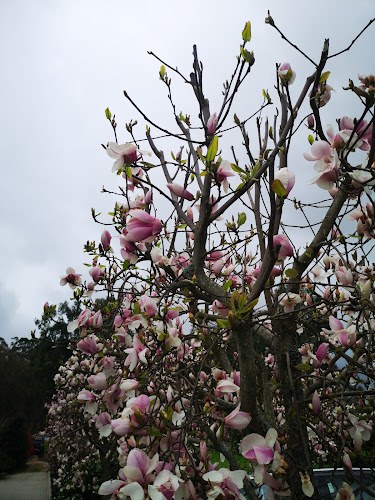 EM519 2843, 3730-632 Vila Cova de Perrinho