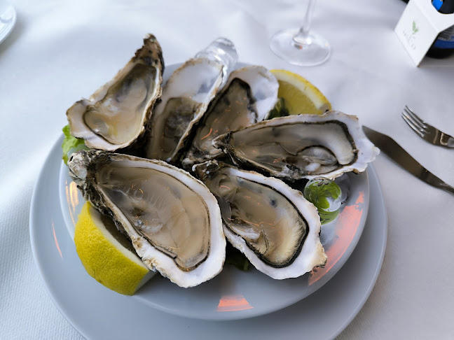 Baía do Peixe - Praça do Comércio - Lisboa