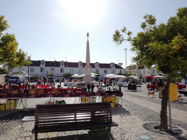Sem Espinhas - Guadiana - Vila Real de Santo António