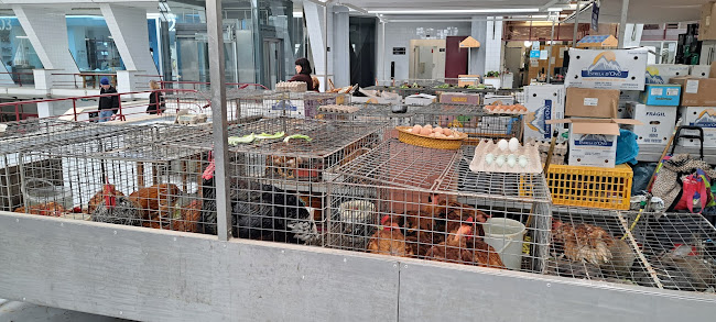 Comentarii opinii despre Mercado Municipal de Matosinhos