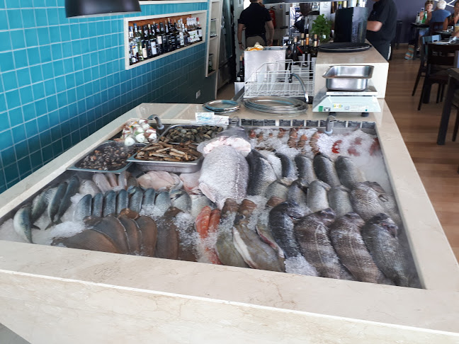 Comentarii opinii despre O Camilo