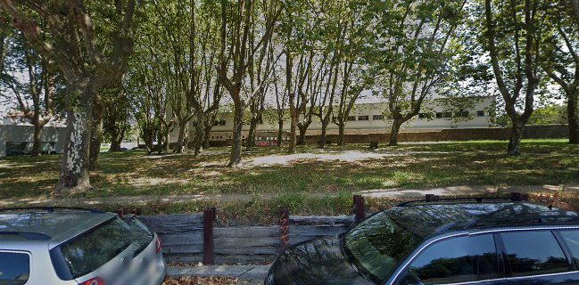 P - Produtos Alimentares, Lda