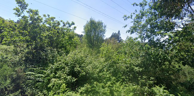 Cascata Braga Parque-snack-bar Lda
