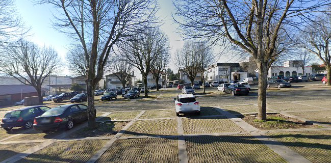 Feiras Francas (feira da ladra)