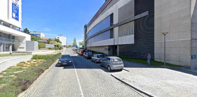 Bar de Gelo Viseu - Gastronomia e hotelaria