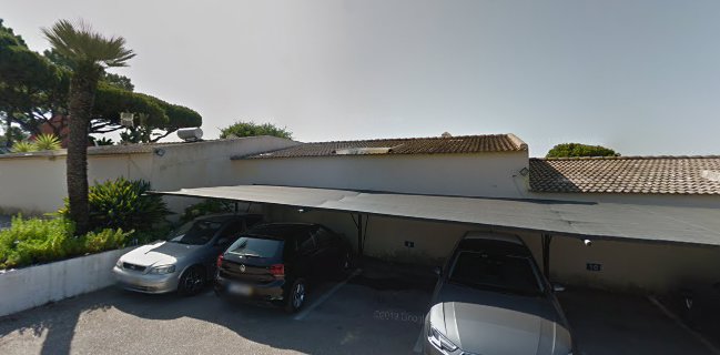 Virgínia A Tal Francesinha