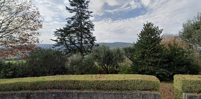 Padaria E Pastelaria Irmãos Coelho Oliveira, Lda. - Penafiel