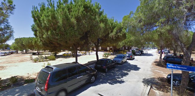 Pavilhão das Artes, Edif. 14 (Em construção)