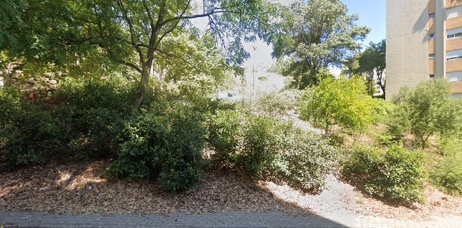 Burger Ranch - Antunes & Sequeira, Lda.