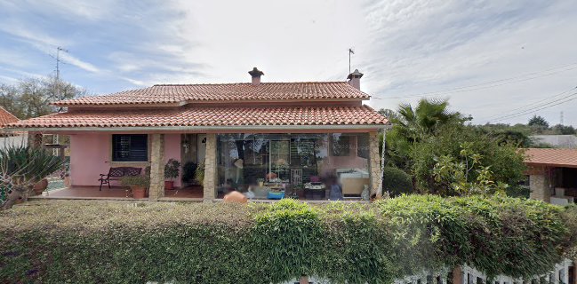 Rosa Maria Alves Homem Damásio