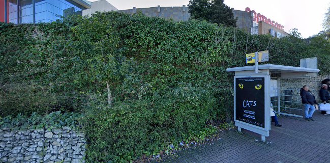 Padaria Pastelaria Palmeira - Fnac Café