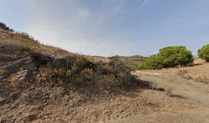 Padaria das Alcarias