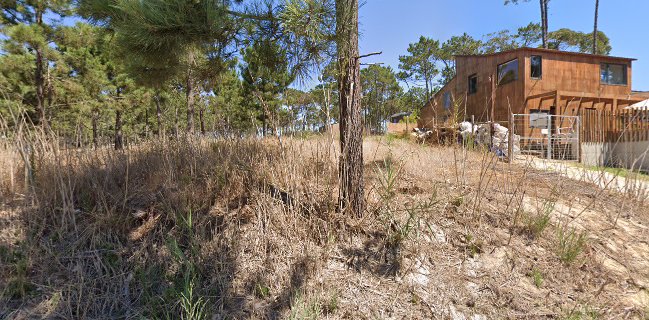 Restaurante Bukubaki