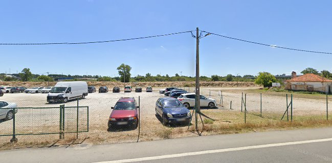 Mercado Mensal de Coina (3.º Domingo de cada mês)