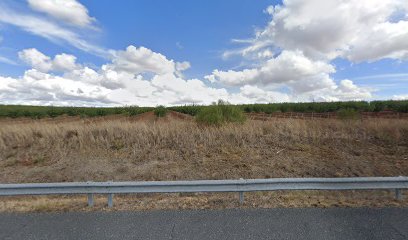 Fernando Manuel Lança Guerreiro